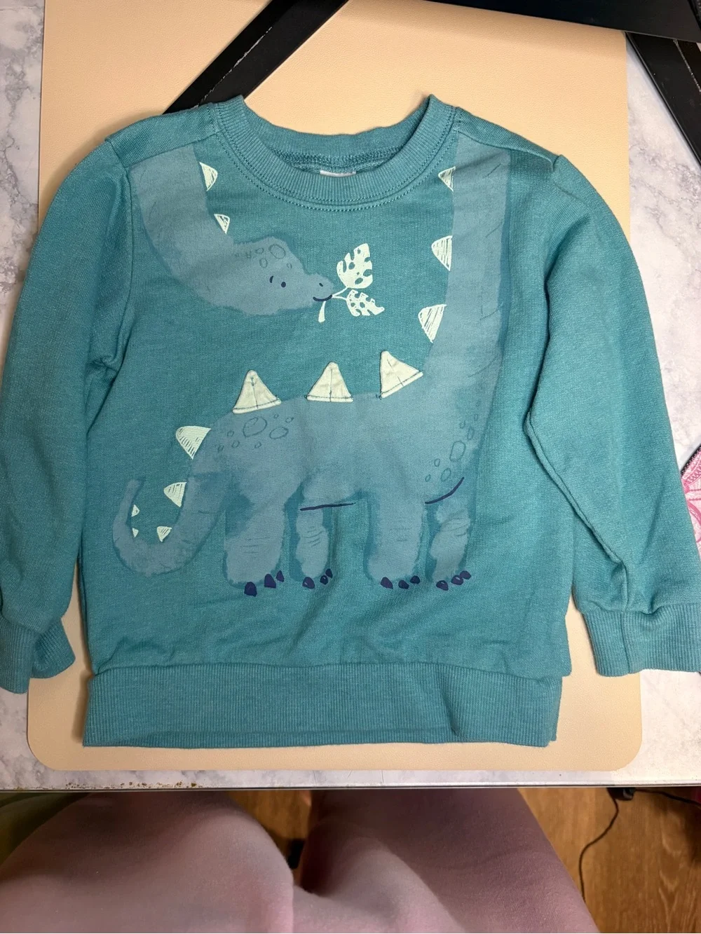 Teal Kids Dinosaur Sweatshirt
